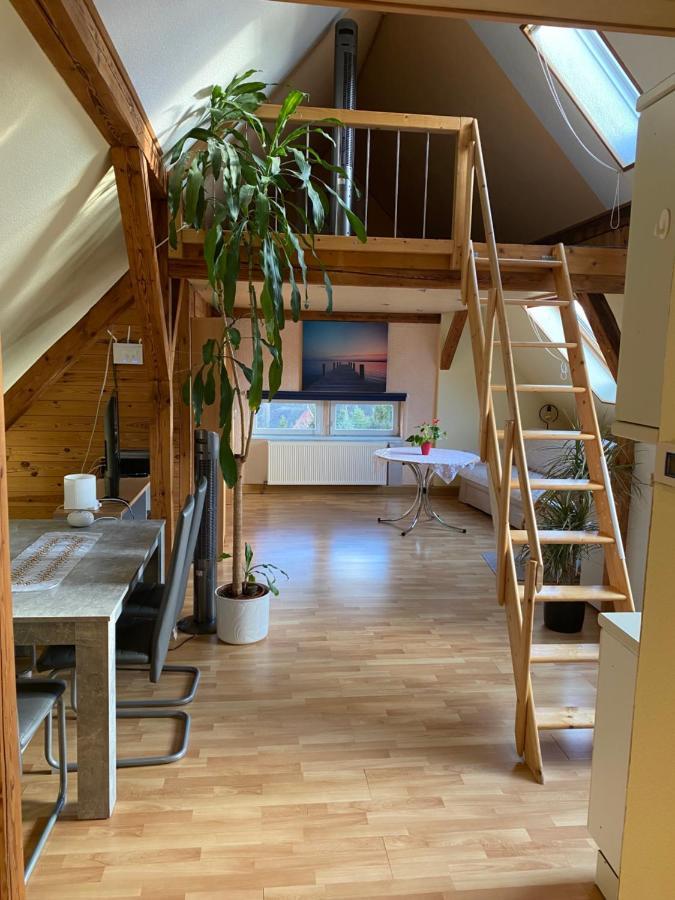 Helles Und Charmantes Loft Mit Herrlichem Blick 드레스덴 외부 사진