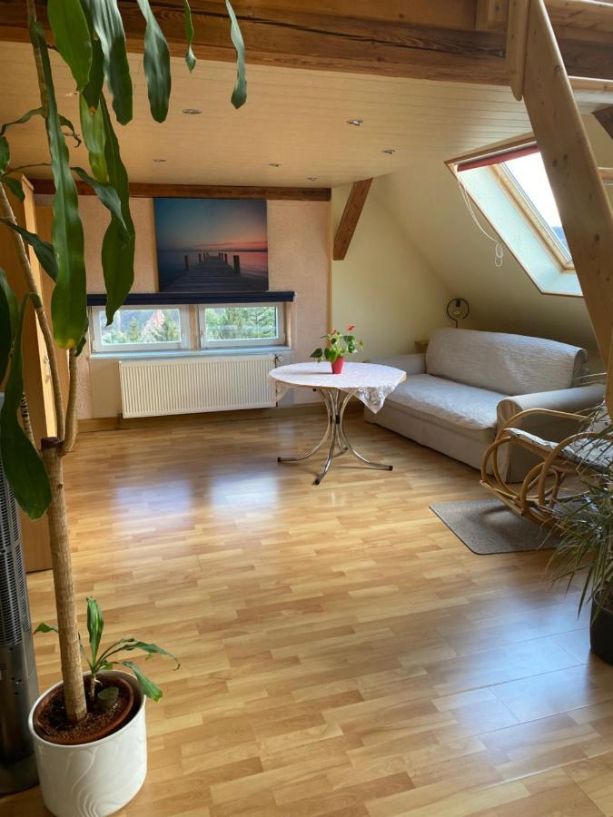 Helles Und Charmantes Loft Mit Herrlichem Blick 드레스덴 외부 사진