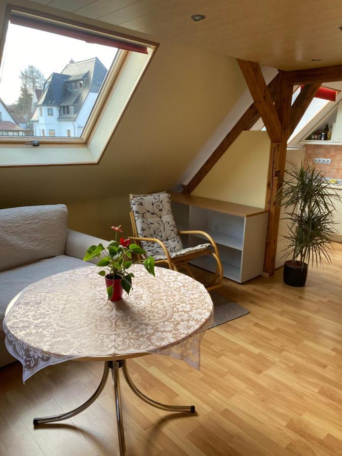 Helles Und Charmantes Loft Mit Herrlichem Blick 드레스덴 외부 사진