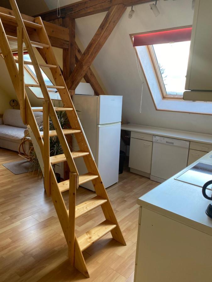 Helles Und Charmantes Loft Mit Herrlichem Blick 드레스덴 외부 사진