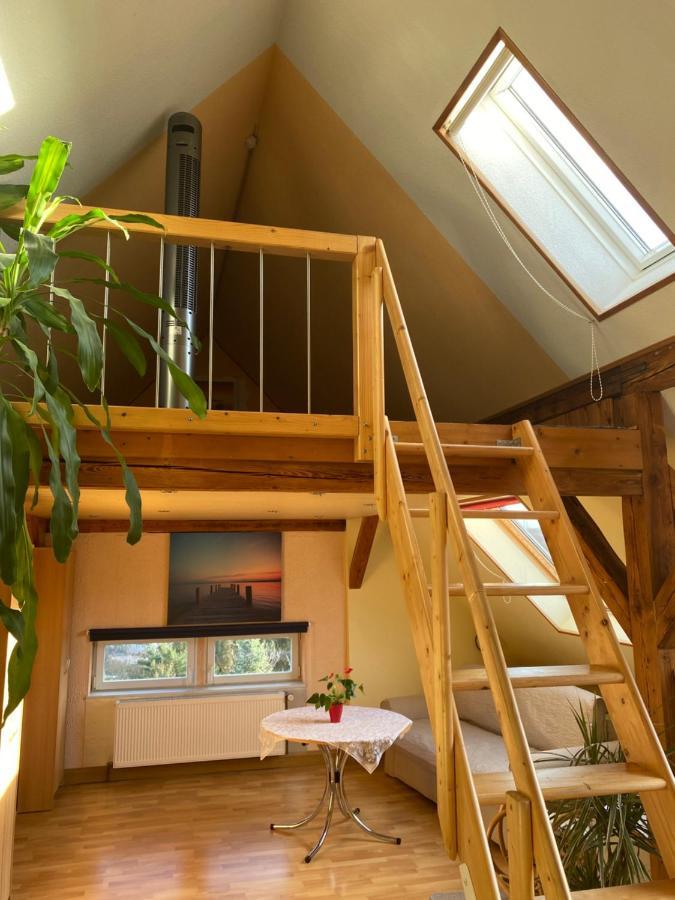 Helles Und Charmantes Loft Mit Herrlichem Blick 드레스덴 외부 사진