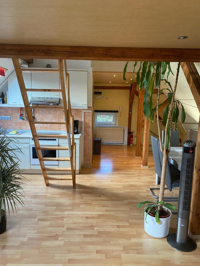 Helles Und Charmantes Loft Mit Herrlichem Blick 드레스덴 외부 사진